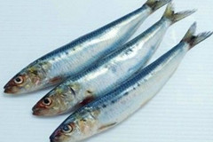 水分测定仪
